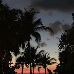 Meet your Posher, Bud